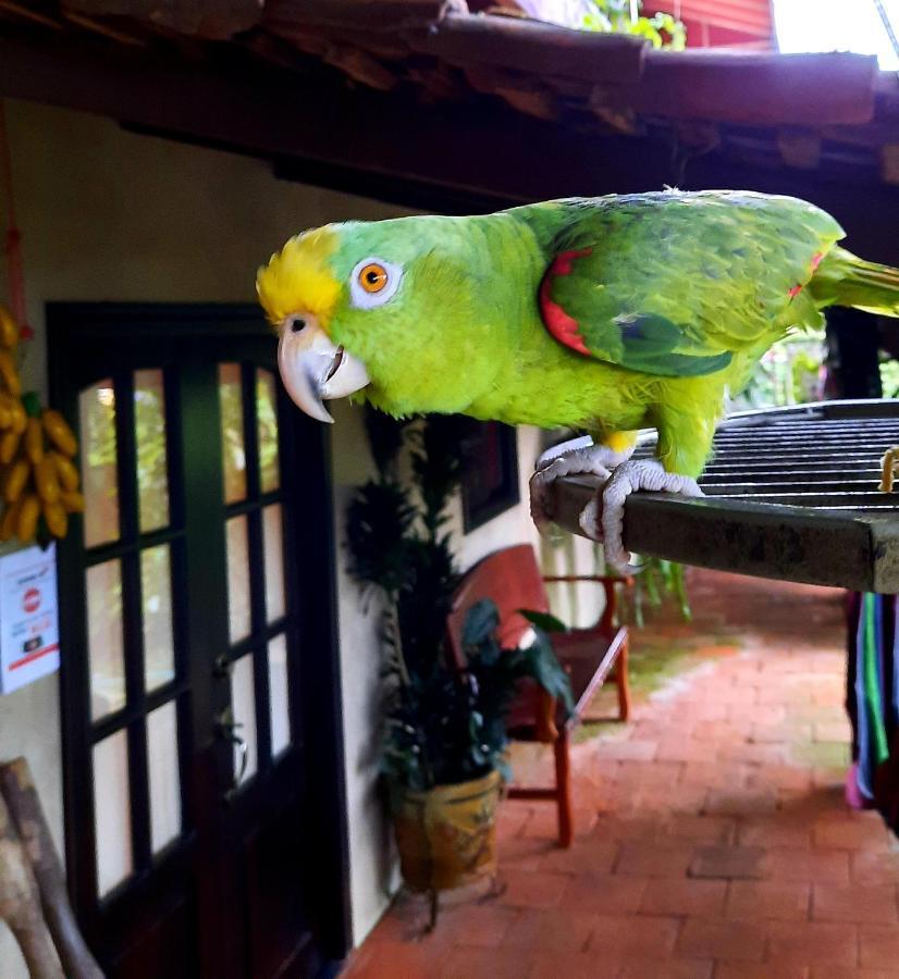 Cabanas San Miguel Alto Boquete Zewnętrze zdjęcie