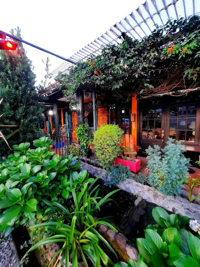 Cabanas San Miguel Alto Boquete Zewnętrze zdjęcie