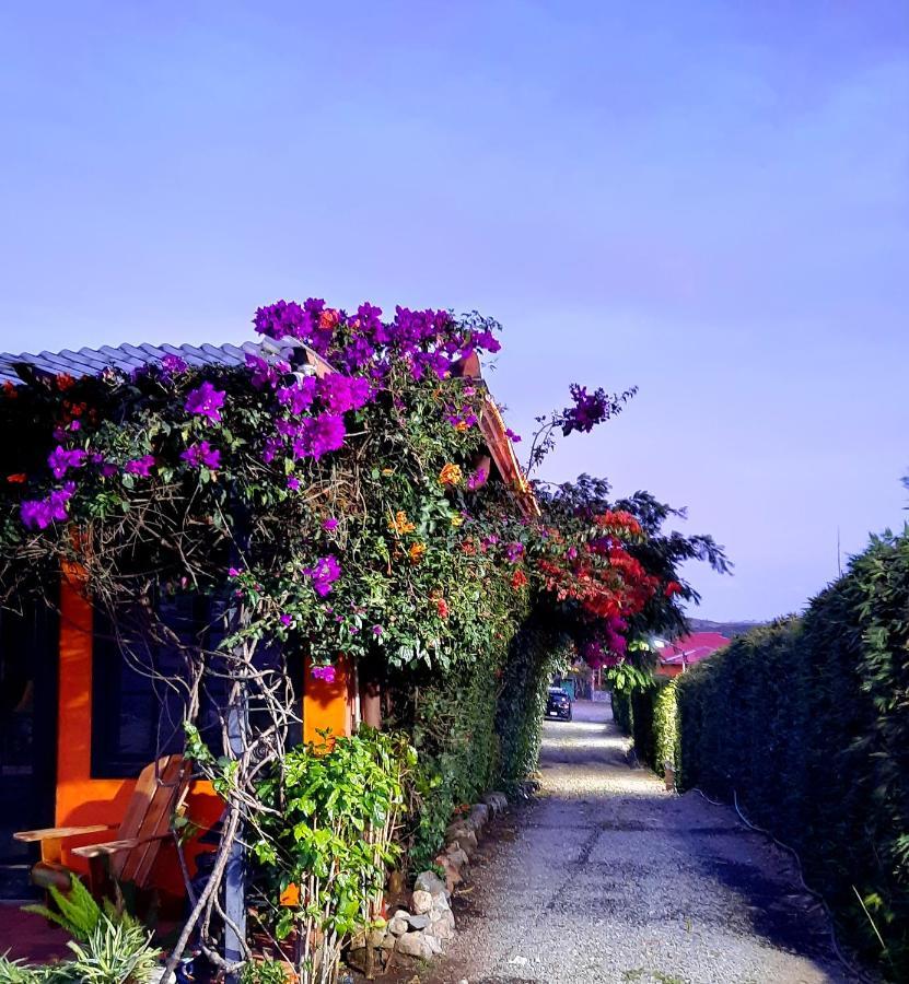 Cabanas San Miguel Alto Boquete Zewnętrze zdjęcie